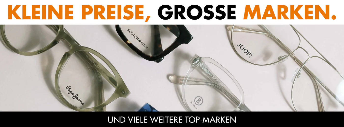 Stilvolle Brillen unverschämt günstig